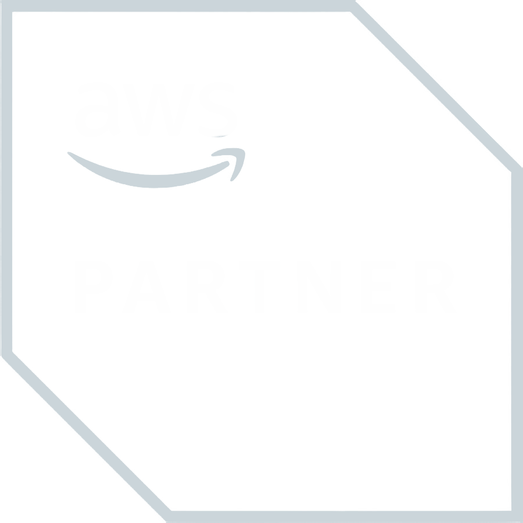 AWS Partner